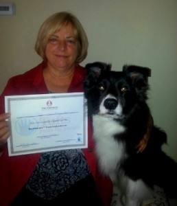 Sage earns her Pet Therapy Certificate!