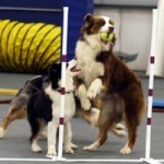 Untitled-10