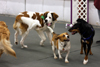 Indoor Play Groups!