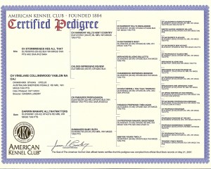 deuce_pedigree_cert