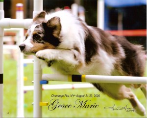 gm_flying