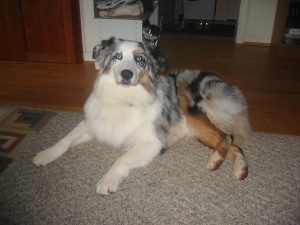 tucker