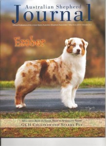 Em cover