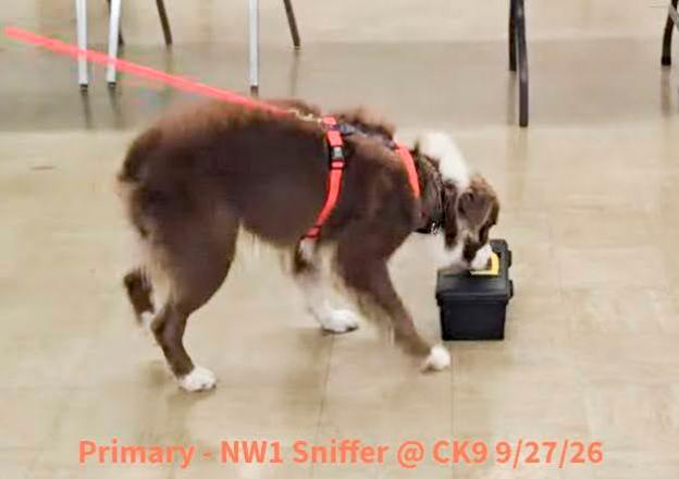 Collinswood and Homestead Farms Primary – NW1 Sniffer on Sunday, Sept 27.